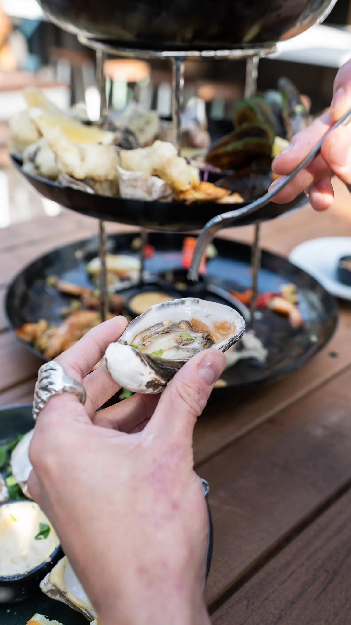 oysters on ice at babylon